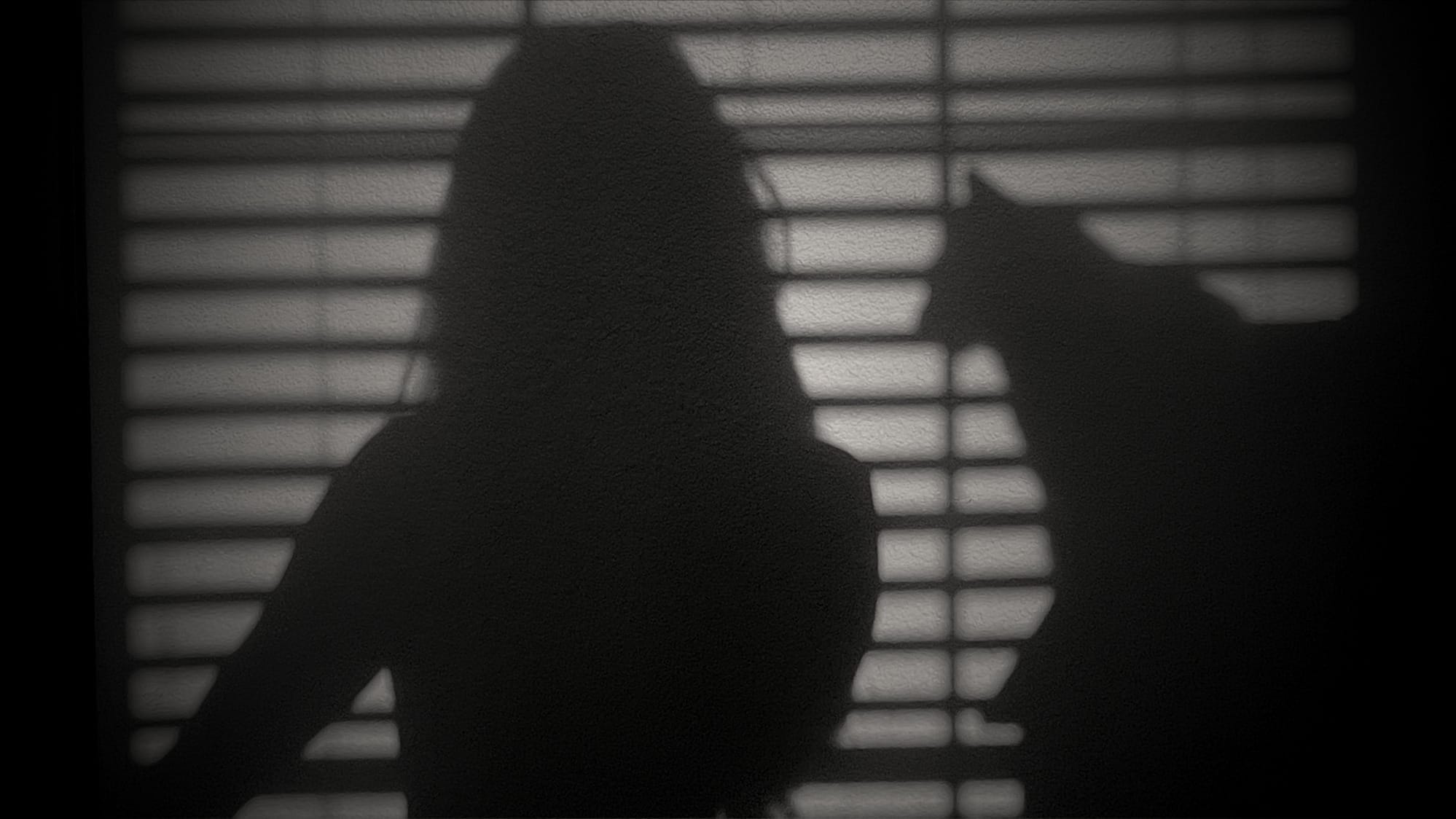 in search of an answer